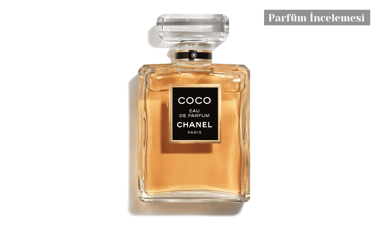 Chanel Coco Eau De Parfum Yorumlari